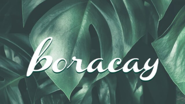 277678068_667336851070913_4324225044607472835_n